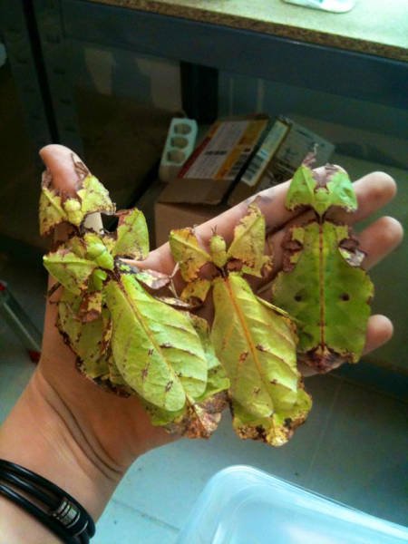 What Is Going On Here? (29 pics)