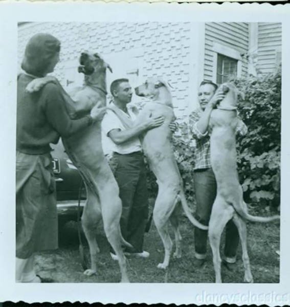 Weird Vintage Photos (26 pics)