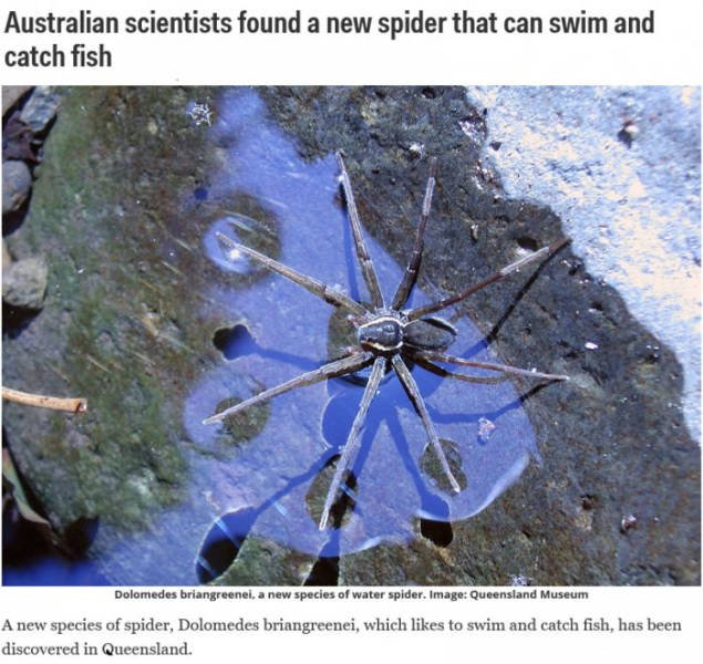 Odd And Creepy Photos From Australia (44 pics)