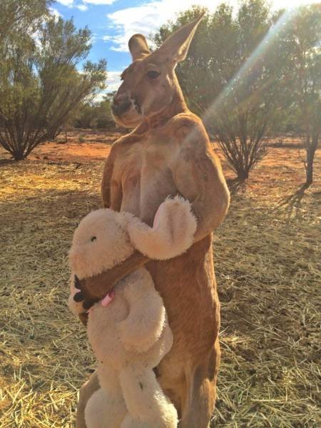 Odd And Creepy Photos From Australia (44 pics)