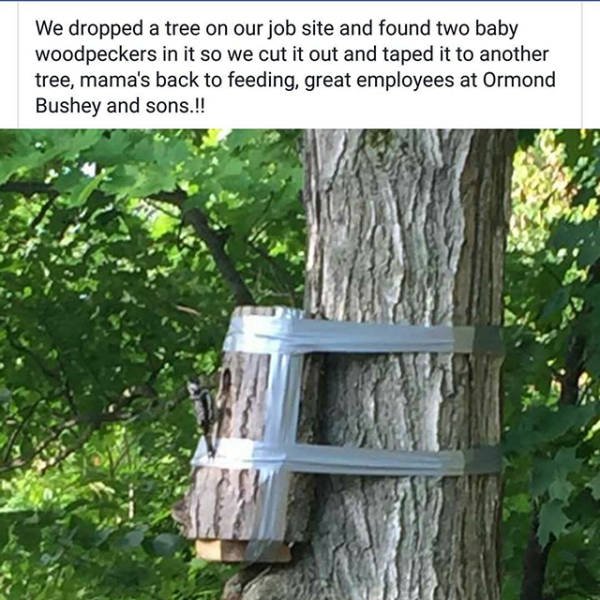 What Is Going On Here? (29 pics)