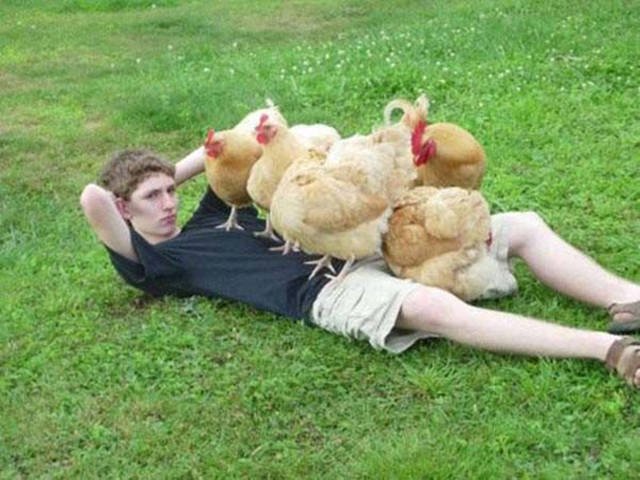 What Is Going On Here? (29 pics)