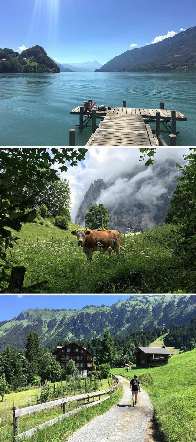 Interesting Photos From Switzerland (25 pics)