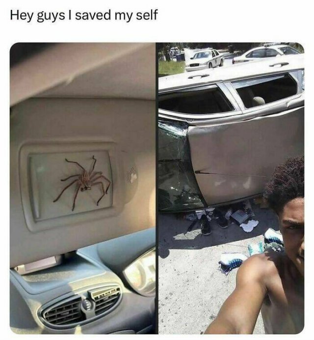 Random Memes (24 pics)