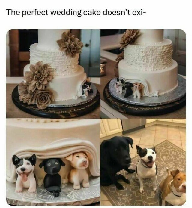 Random Memes (24 pics)