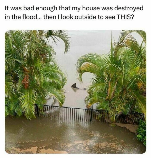Random Memes (24 pics)