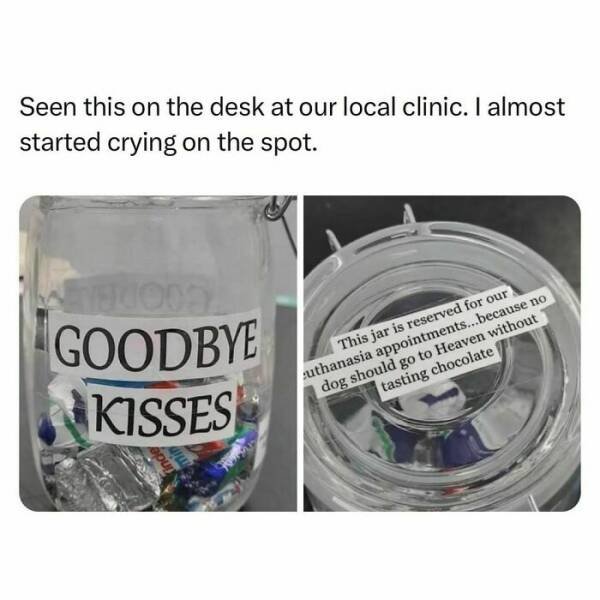 Random Memes (24 pics)