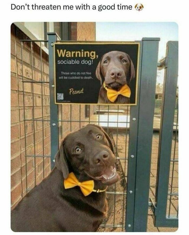 Random Memes (24 pics)