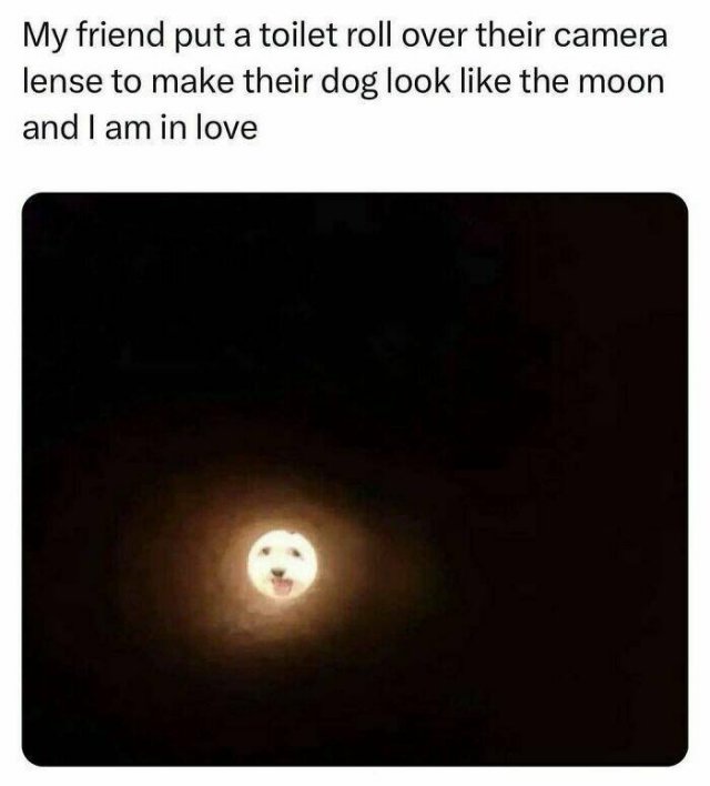 Random Memes (24 pics)