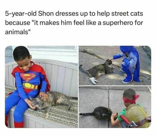 Random Memes (24 pics)