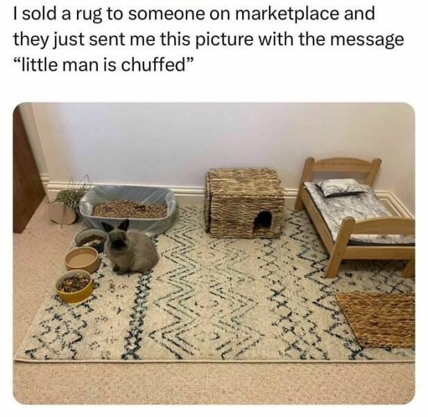 Random Memes (24 pics)