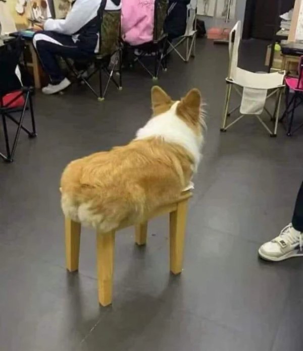 What Is Going On Here? (28 pics)