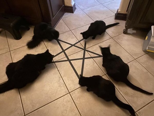 What Is Going On Here? (28 pics)