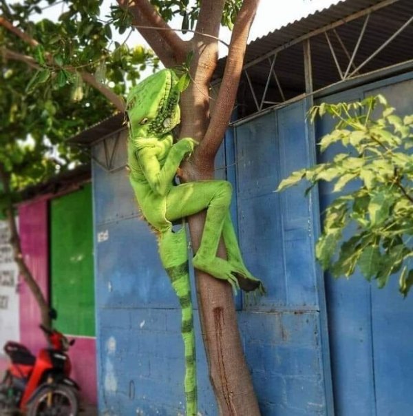 What Is Going On Here? (28 pics)