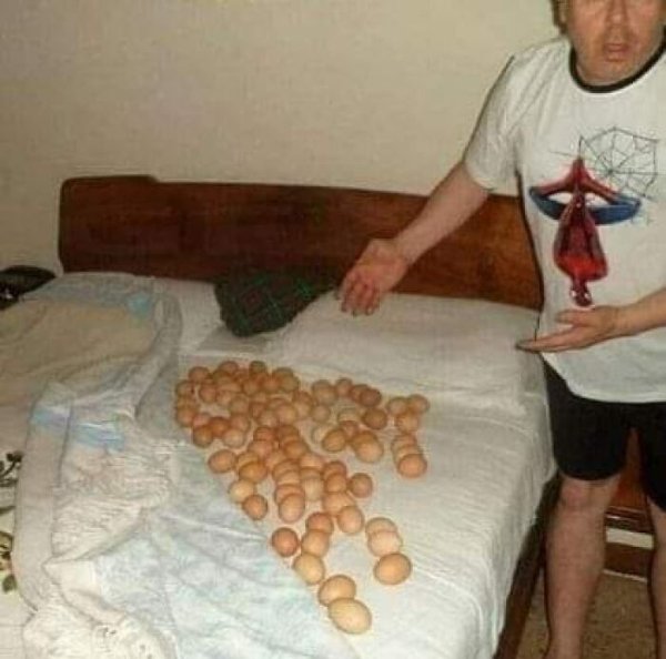 What Is Going On Here? (28 pics)