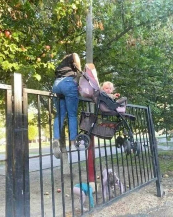 What Is Going On Here? (28 pics)