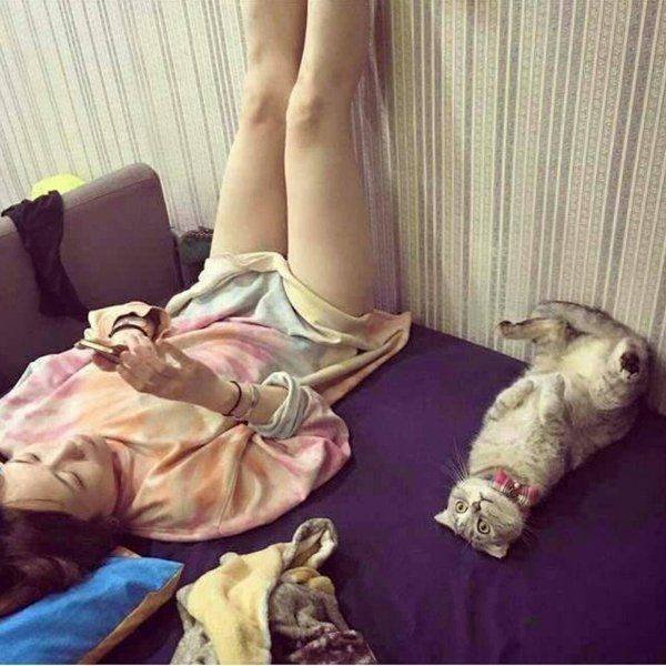 People Share Their Cute Cats (30 pics)