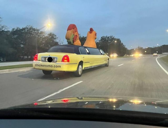Crazy Vehicles (21 pics)