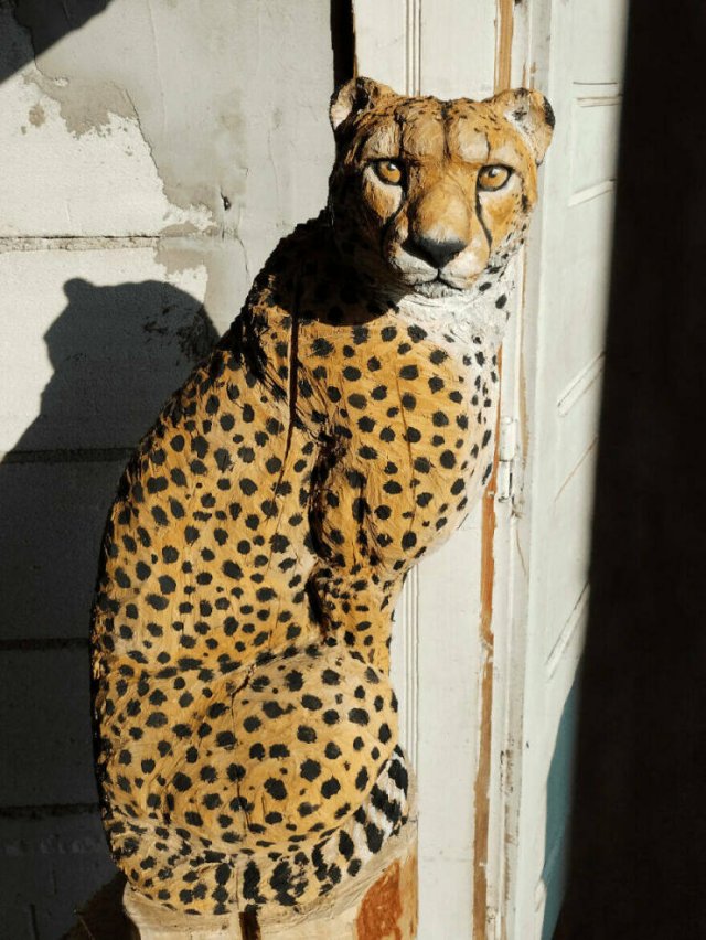 Amazing DIY Crafts  (25 pics)