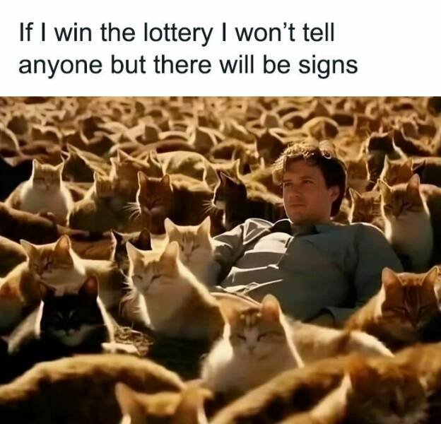 Memes With Cats (25 pics)