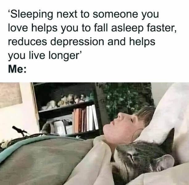 Memes With Cats (25 pics)