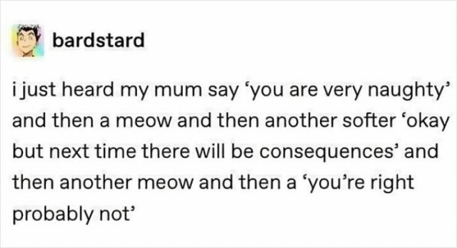 Memes With Cats (25 pics)