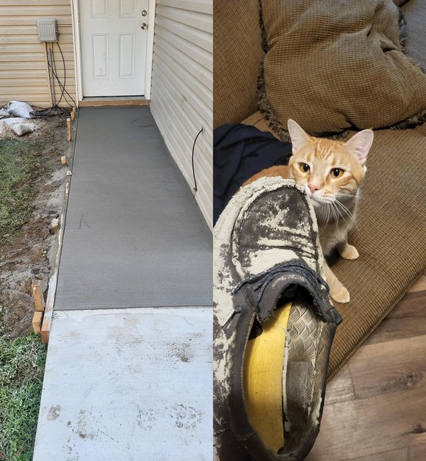 Weird Landlords (24 pics)
