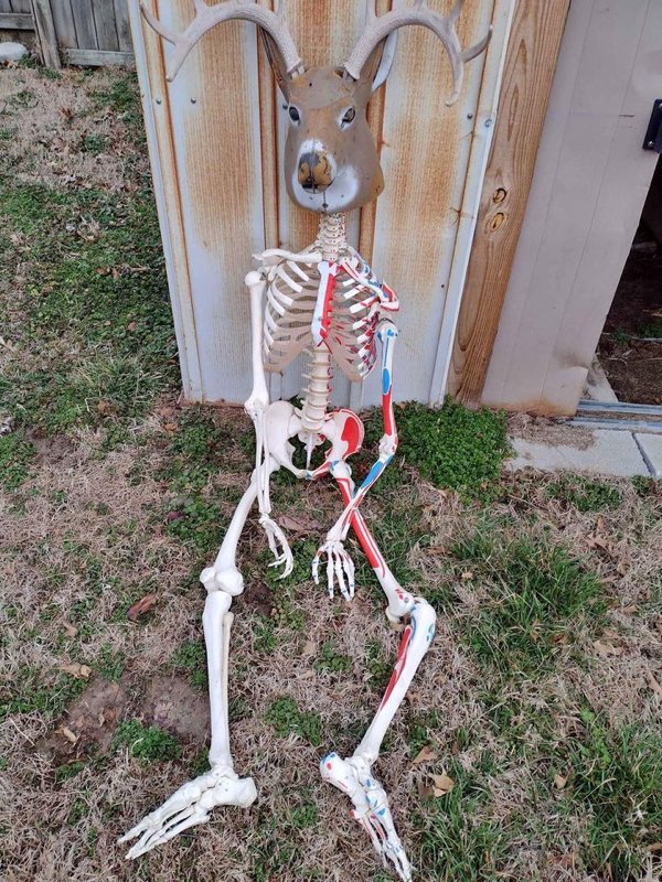 Weird Things And Finds (22 pics)