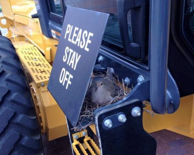 They Don’t Care About The Rules (22 pics)