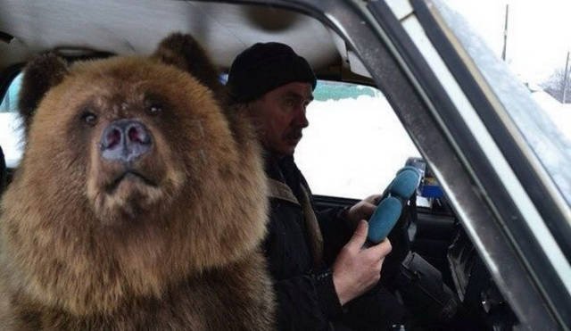 Strange Russians (46 pics)