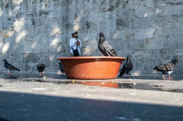 Look Twice (25 pics)