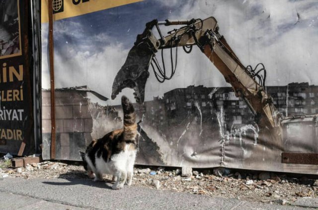 Look Twice (25 pics)