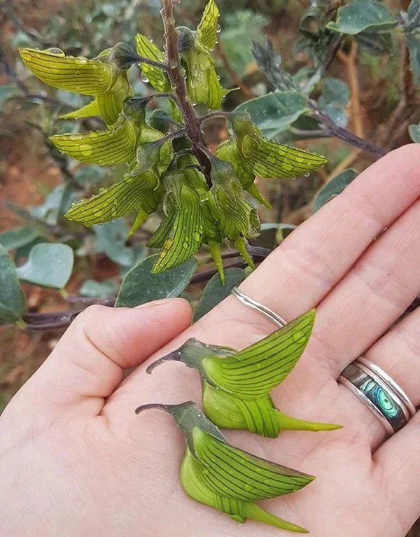 Really Cool And Interesting Finds (24 pics) Really Cool And Interesting Finds (24 pics)
