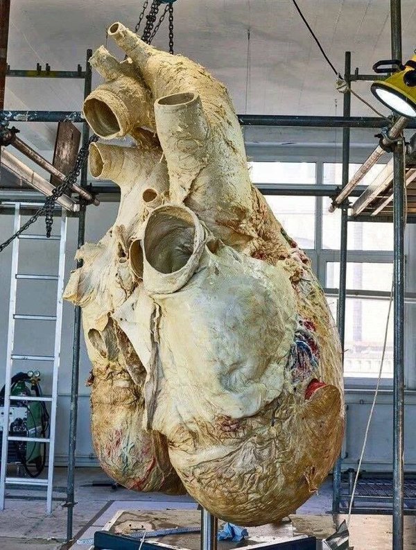 Really Cool And Interesting Finds (24 pics) Really Cool And Interesting Finds (24 pics)