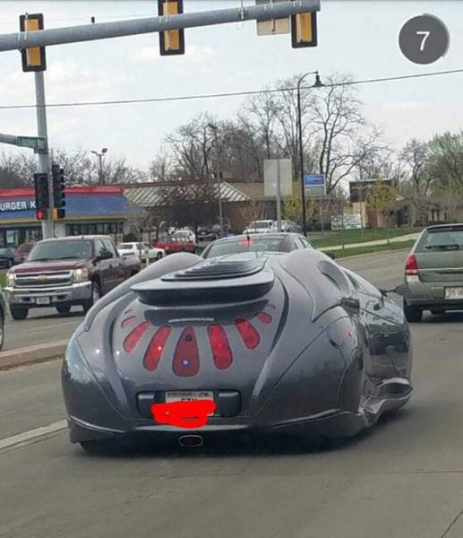 What Is Going On Here? (48 pics)
