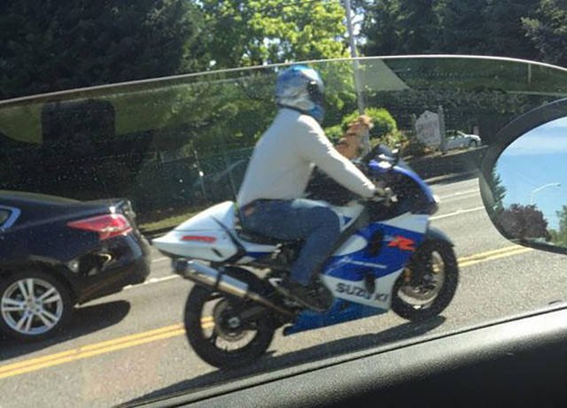 What Is Going On Here? (48 pics)