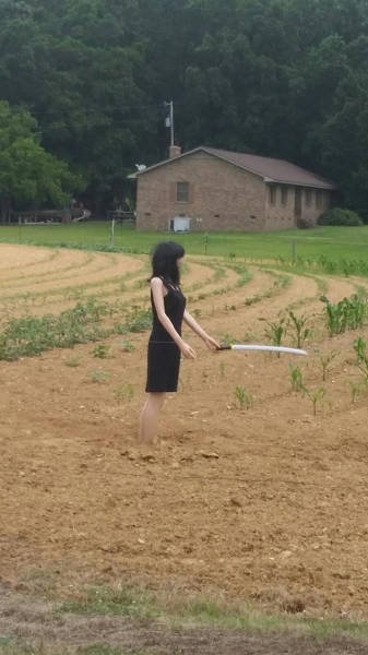 What Is Going On Here? (48 pics)
