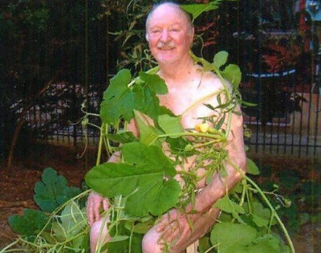 What Is Going On Here? (48 pics)