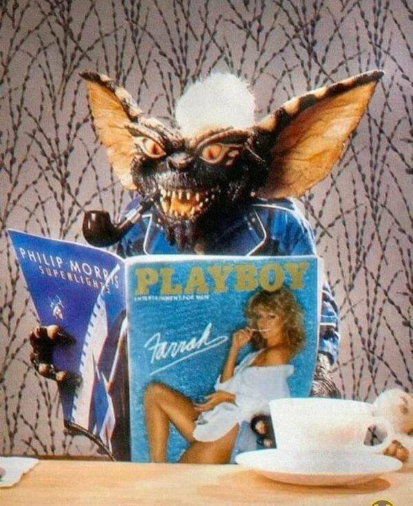 A Little Bit Of Nostalgia (20 pics)