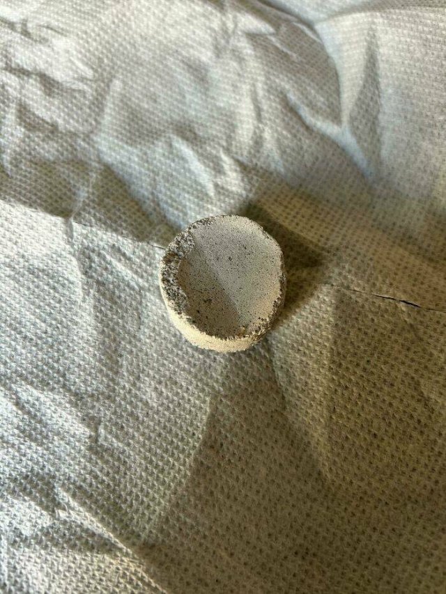 What Are These Things? (25 pics)
