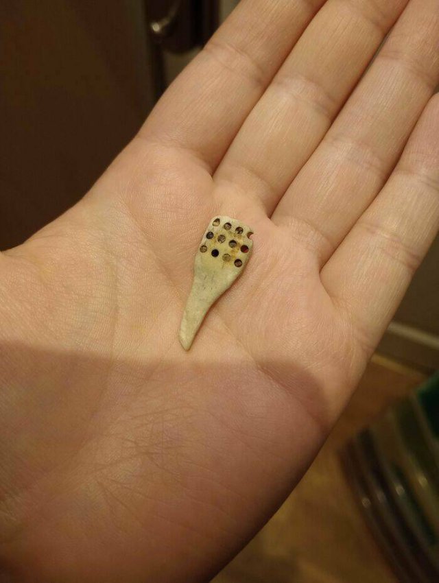 What Are These Things? (25 pics)