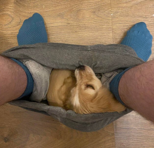 People Share Good Moments (16 pics)