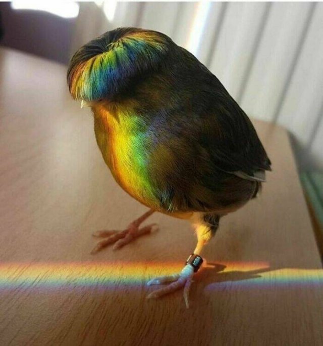 Kind And Positive Photos From Around The World (22 pics)