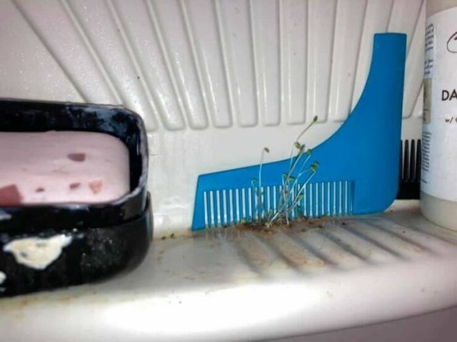 Bad And Weird Neighbors (24 pics)