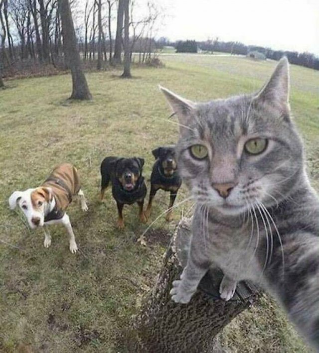 Kind And Positive Photos From Around The World (22 pics)