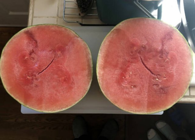 People Who Won The Food Lottery (25 pics)