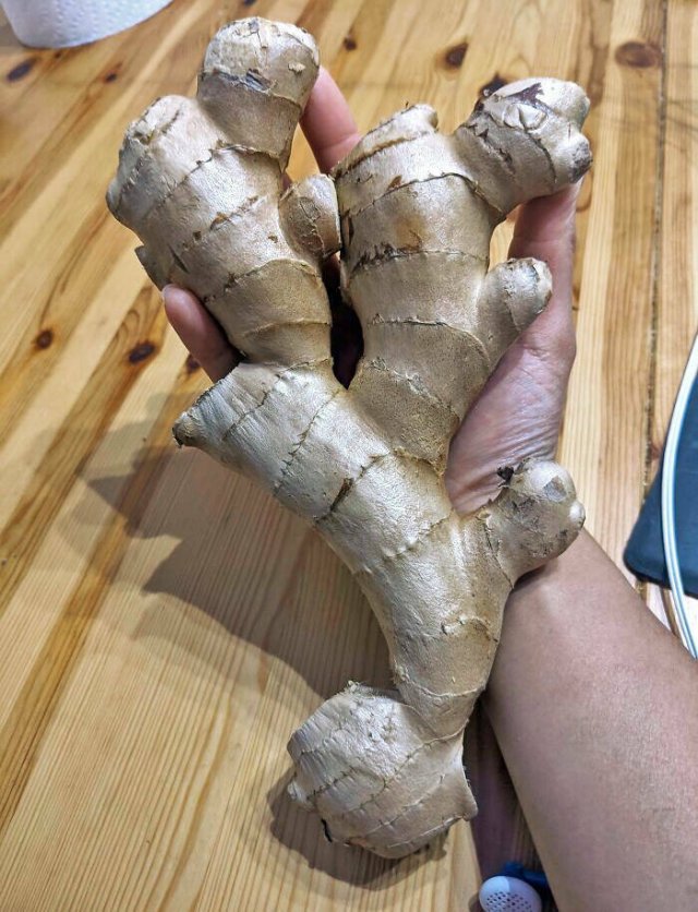 People Who Won The Food Lottery (25 pics)