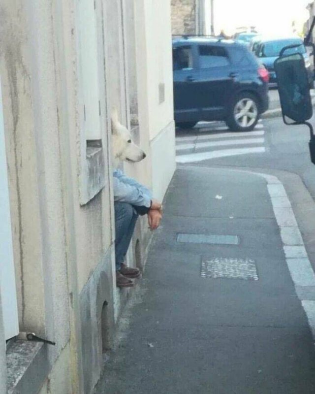 Kind And Positive Photos From Around The World (22 pics)