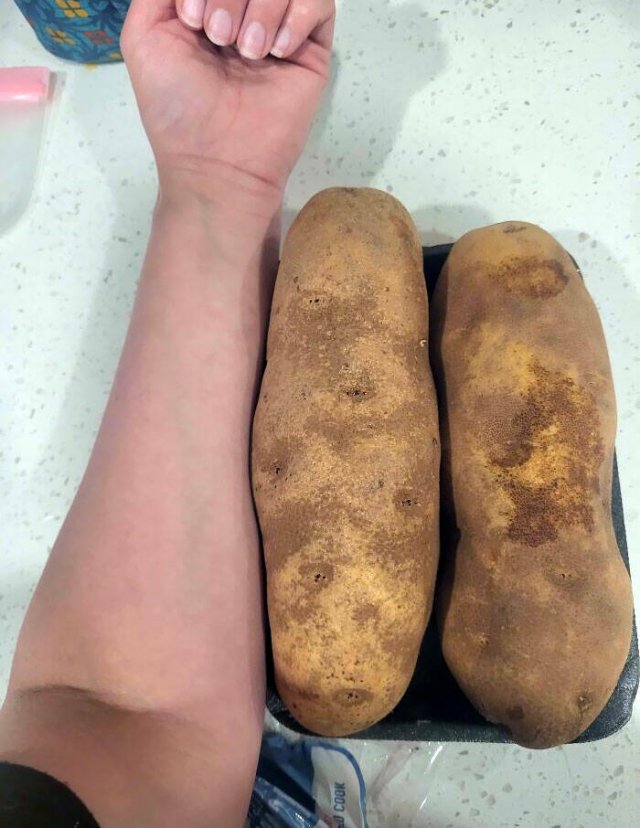 People Who Won The Food Lottery (25 pics)