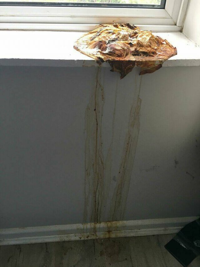 Bad And Weird Neighbors (24 pics)